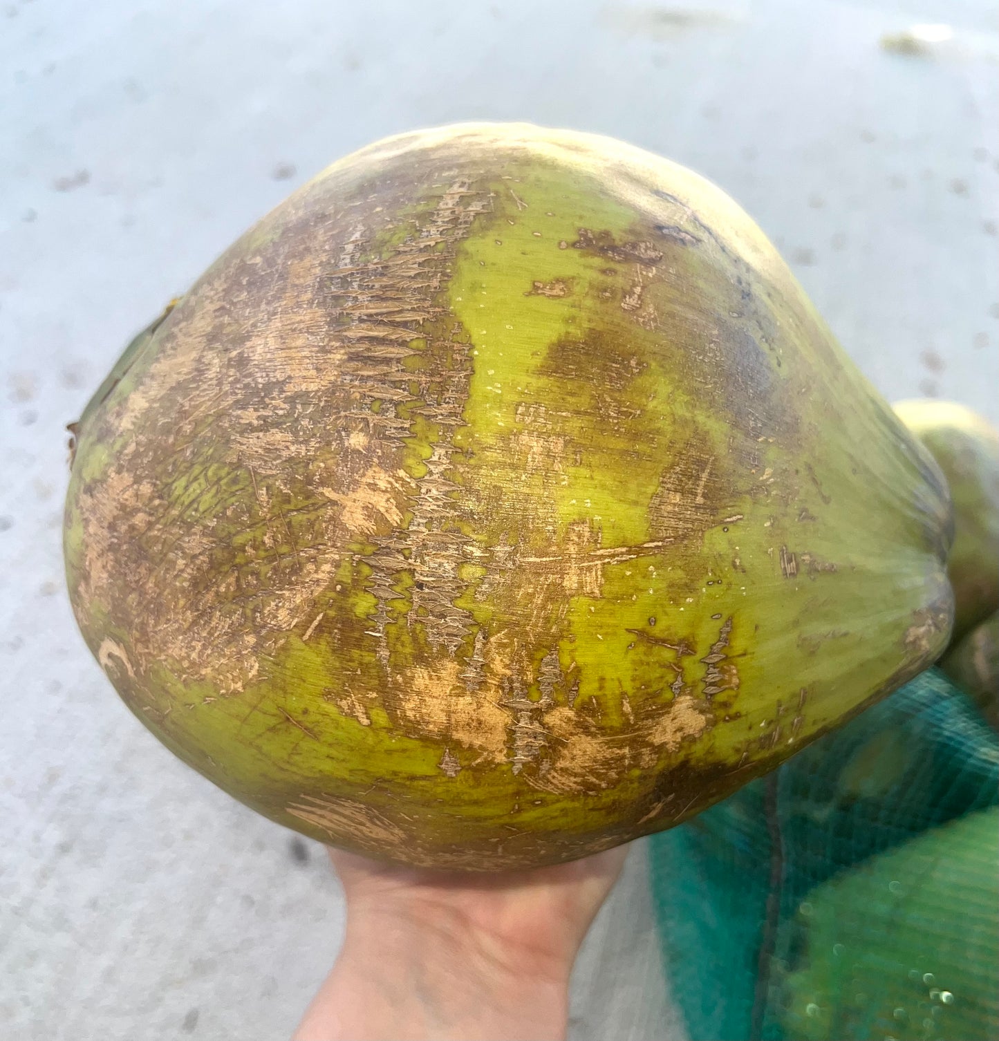 100% Fresh Young Coconut