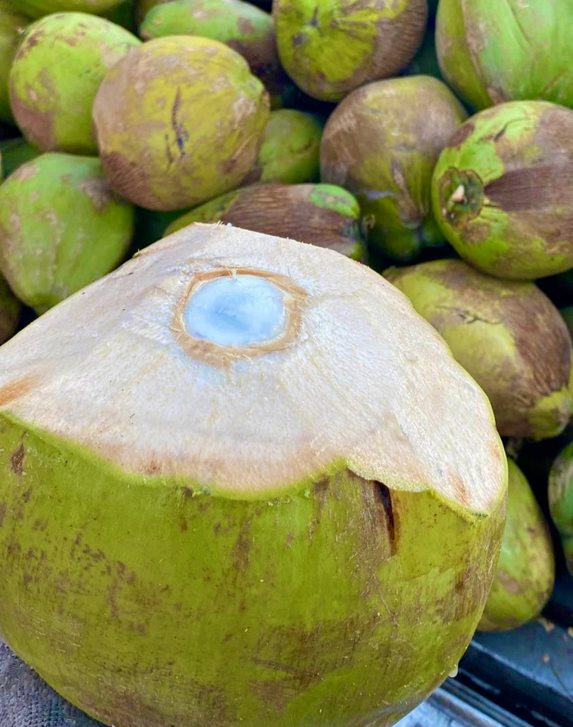 100% Fresh Young Coconut