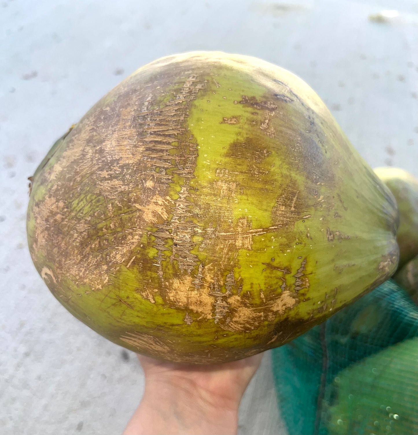 100% Fresh Coconut