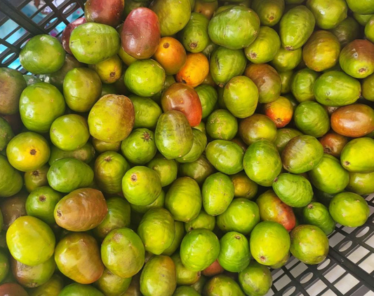 Spanish Plum (Jocote)