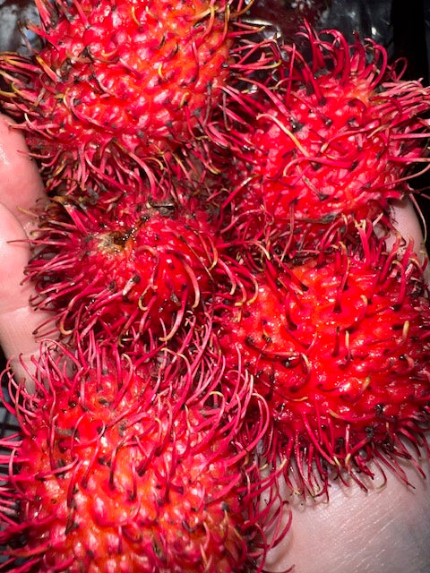 Rambutan